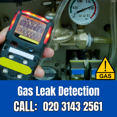 Expert Gas Leak Detection Services in Enfield Island Village | Enfield Island Village Leak Detection