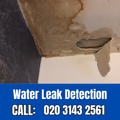 Expert Water Leak Detection Services in Enfield Island Village | Enfield Island Village Leak Detection